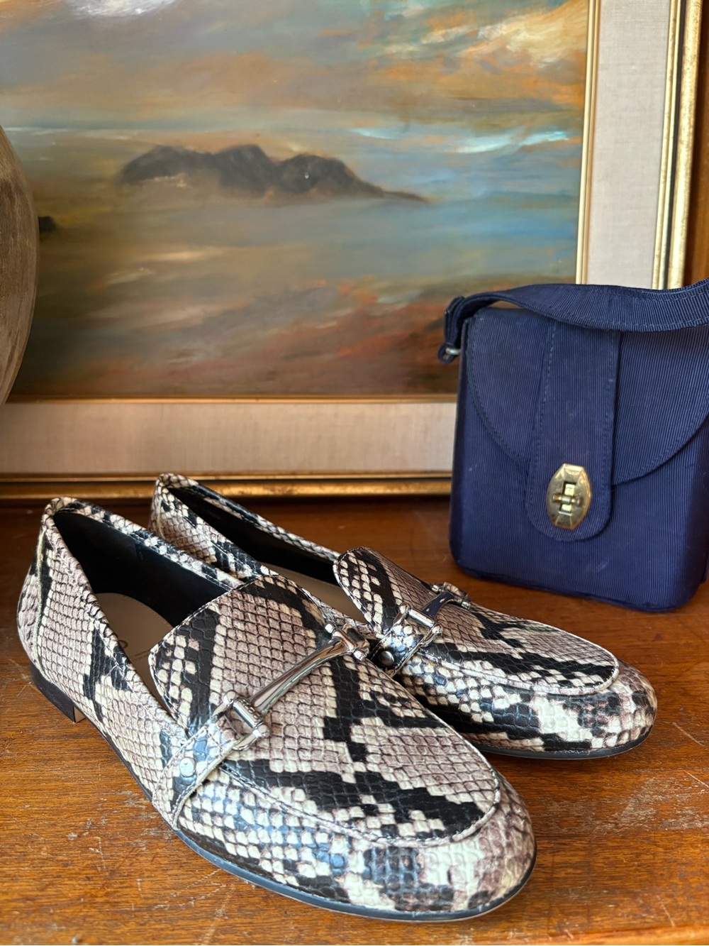 Leather Snakeprint Flat Aldo 6.5